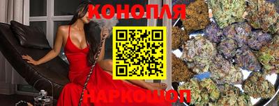 СК Гагарин