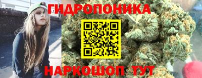 СК Гагарин