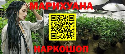 гидропоника Гатчина