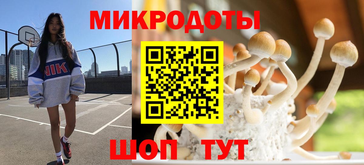 Медногорск  Галлюциногенные грибы ЛСД  Вход с VPN  Псилоцибиновые грибы Magic Shrooms 
