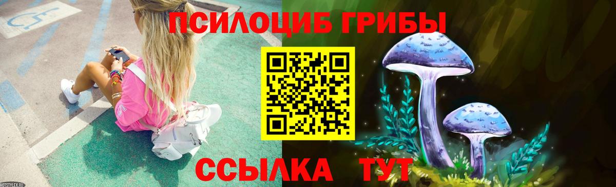 Галлюциногенные грибы прущие грибы Медногорск